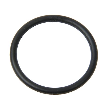 Reinz Seal Ring, 407311500 407311500